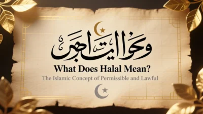 Halal Mean